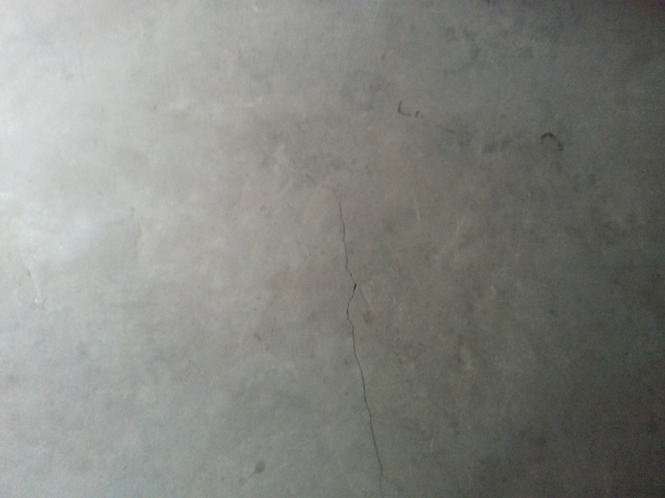20131104_162656.jpg