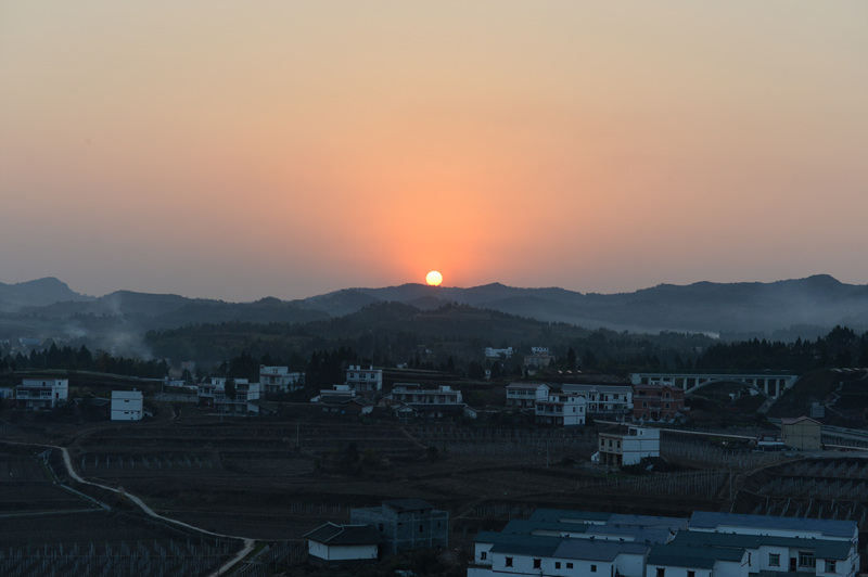 TSZ_0335.jpg