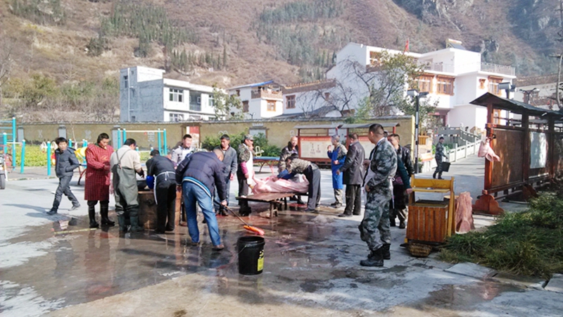 IMG_20131213_114427.jpg