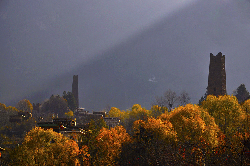 _DSC8448.jpg