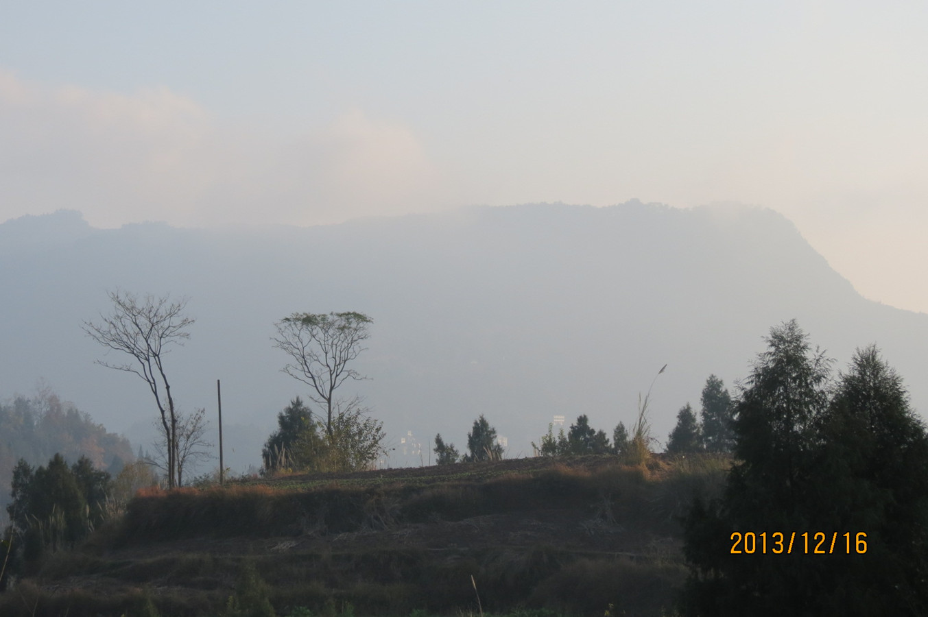 IMG_6070_.jpg