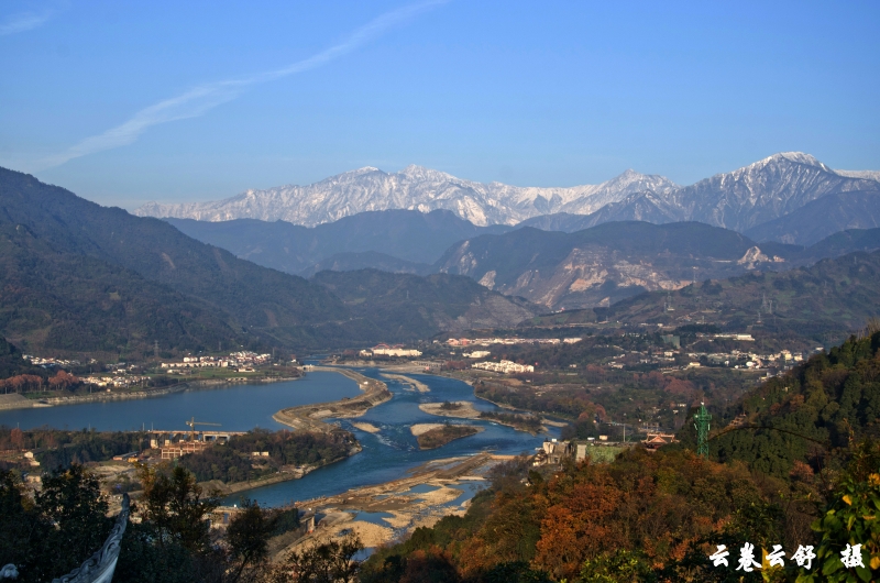 DSC_2007_conew1.jpg