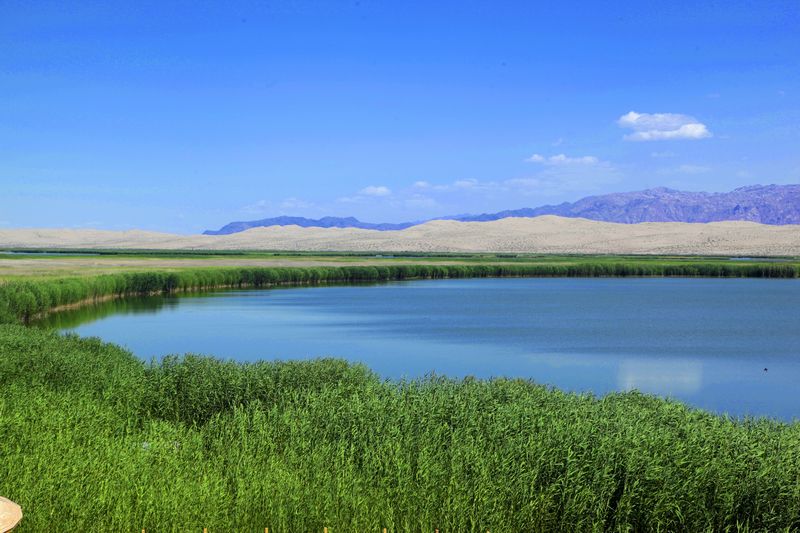 新疆博湖第七届冰雪节在成都召开,将引来一波玩雪热潮!