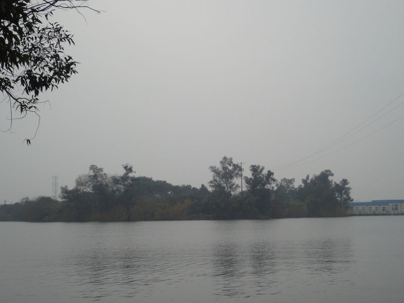 DSC02162.JPG
