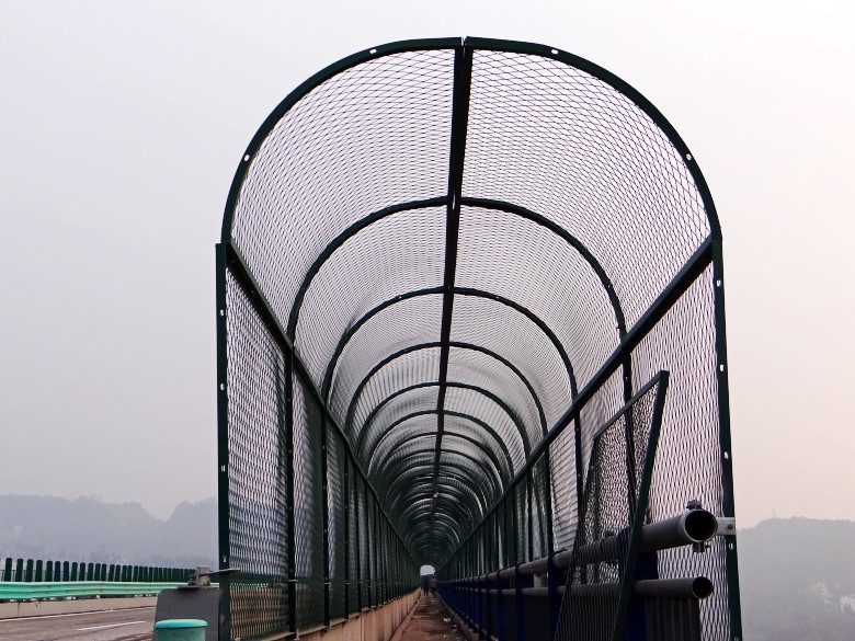 DSC04954_conew1.jpg