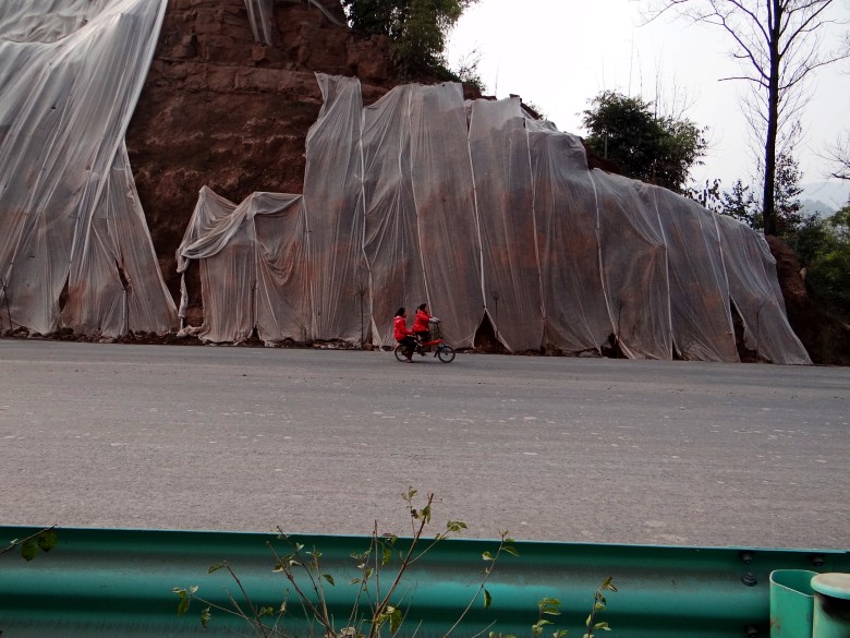 DSC04894_conew1.jpg