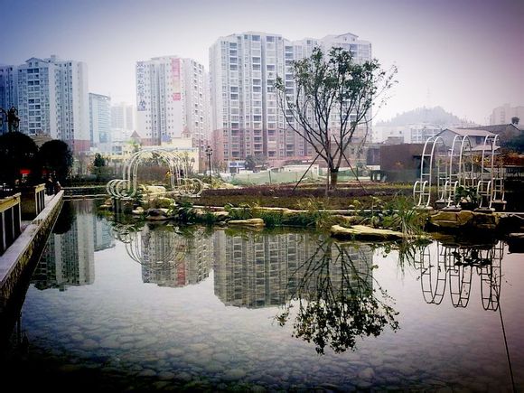 枫丹白露 靓丽! - 第4页 - 蓬安论坛 麻辣社区-四川第一网络社区