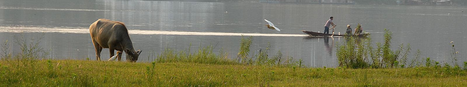 011616mcfs98qphq29hrcc.jpg