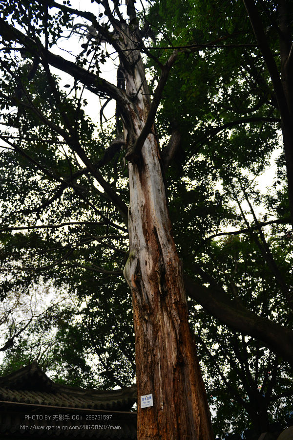 DSC_1841.jpg