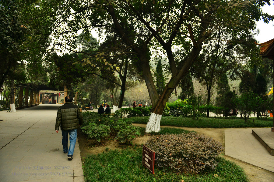DSC_1787.jpg