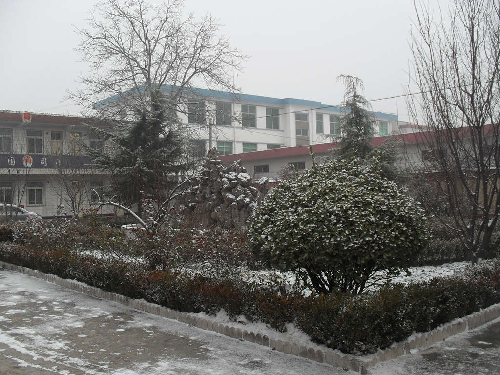 126.jpg