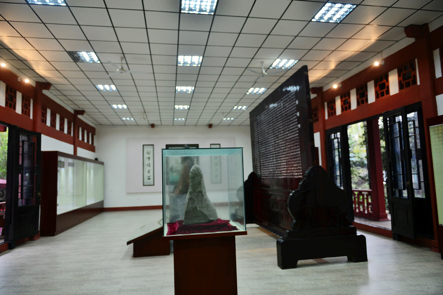 DSC_1803.jpg