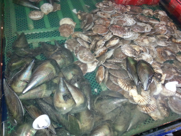 20131204_193929.jpg