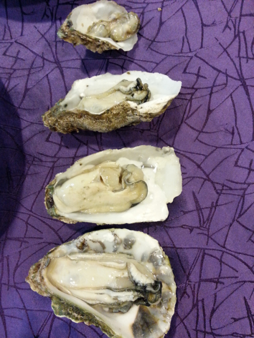 20131204_200242.jpg