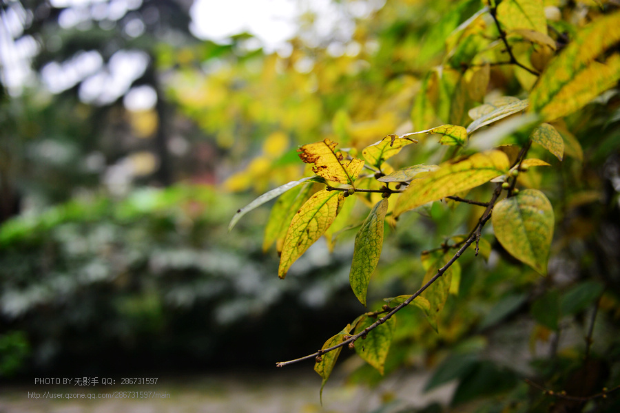 DSC_1866.jpg