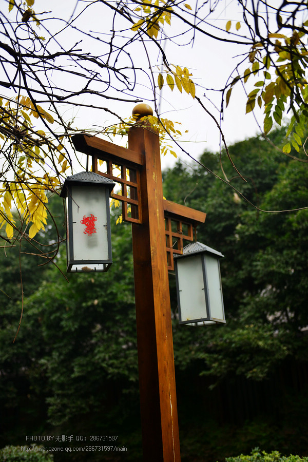 DSC_1874.jpg