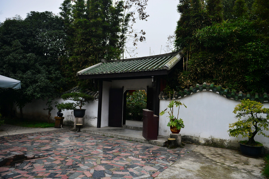 DSC_1889.jpg