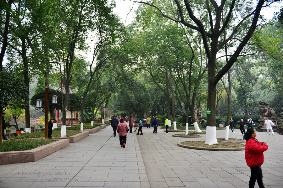 DSC_1903.jpg