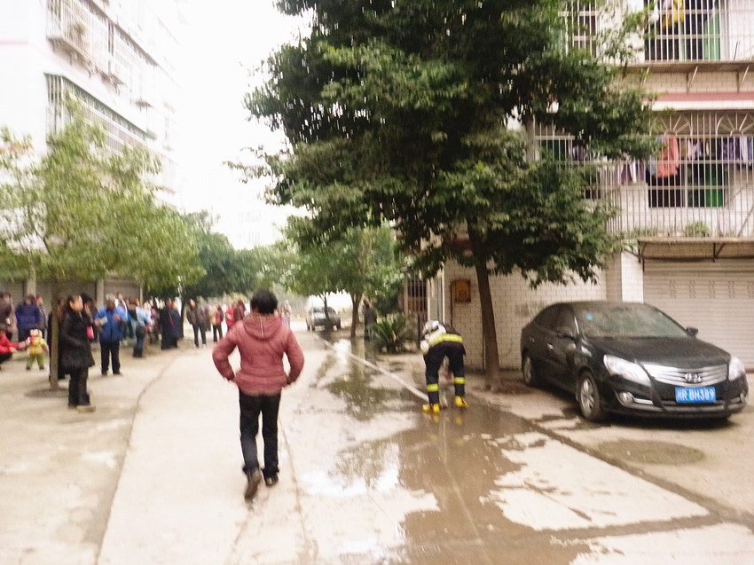 P1140836_.jpg