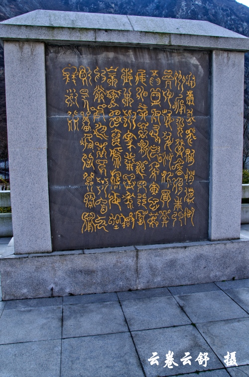 DSC_2627_conew1.jpg