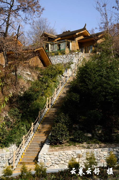 DSC_2673_conew1.jpg