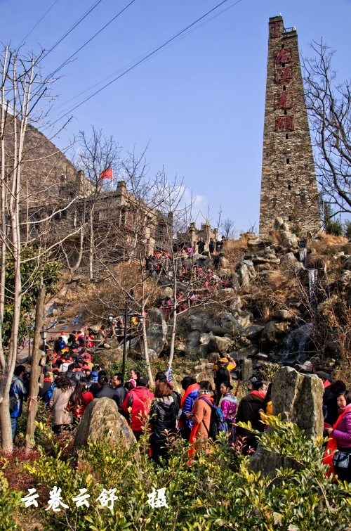 DSC_2904_conew1.jpg
