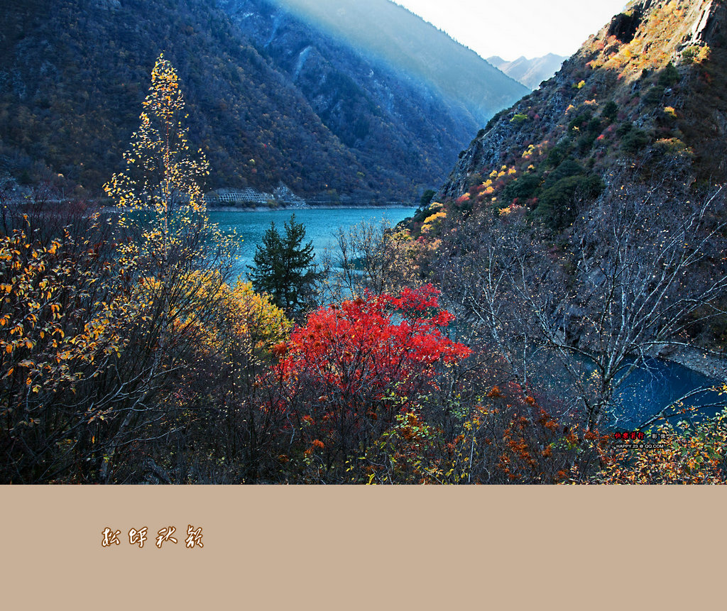 _G0A1172Ϊܶ-1.jpg