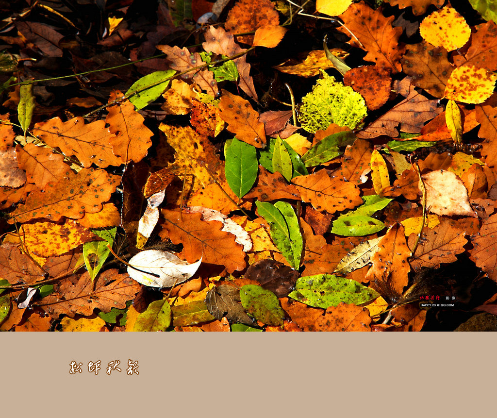 _G0A1119Ϊܶ-1.jpg