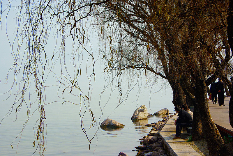 _IGP8226.jpg