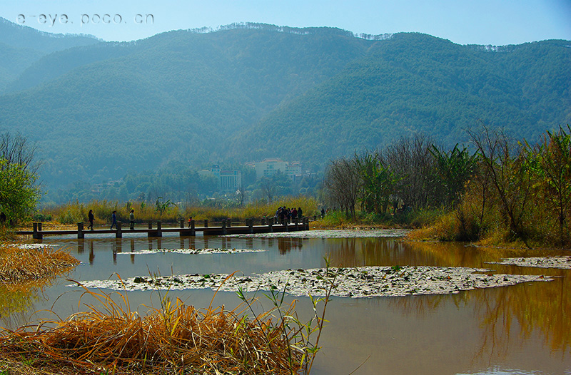 _IGP8357.jpg