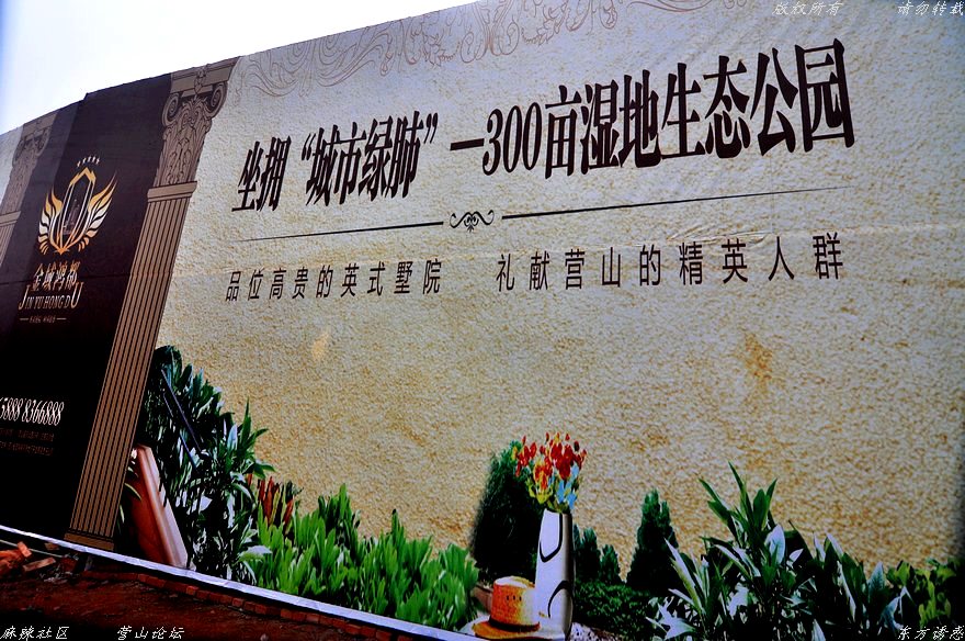 Ƭ 079.jpg
