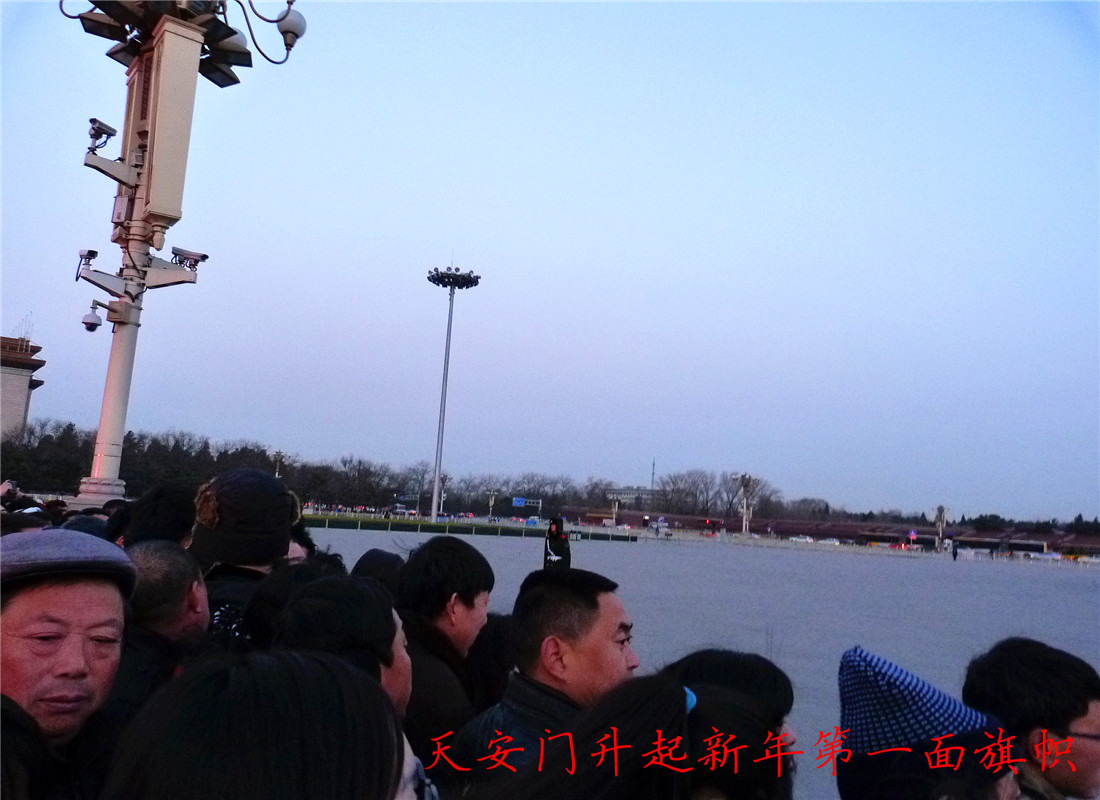 P1150224.jpg