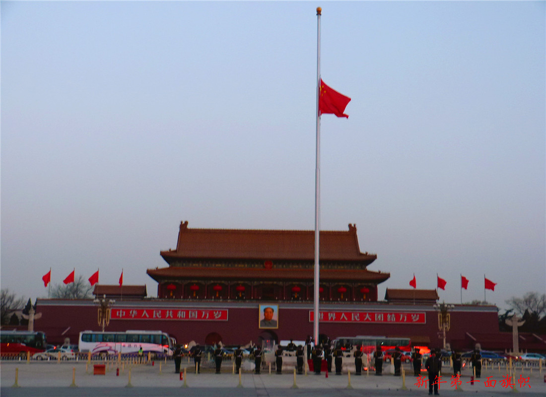 P1150248.jpg