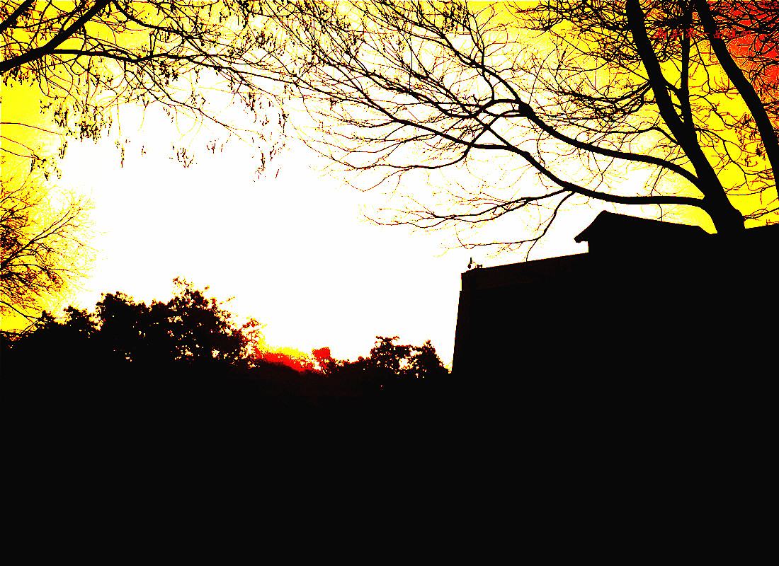P1150320.jpg