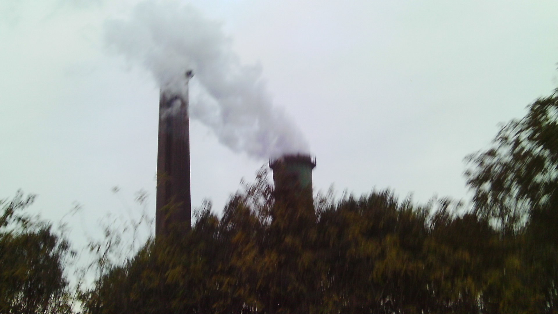 IMAG0015.JPG