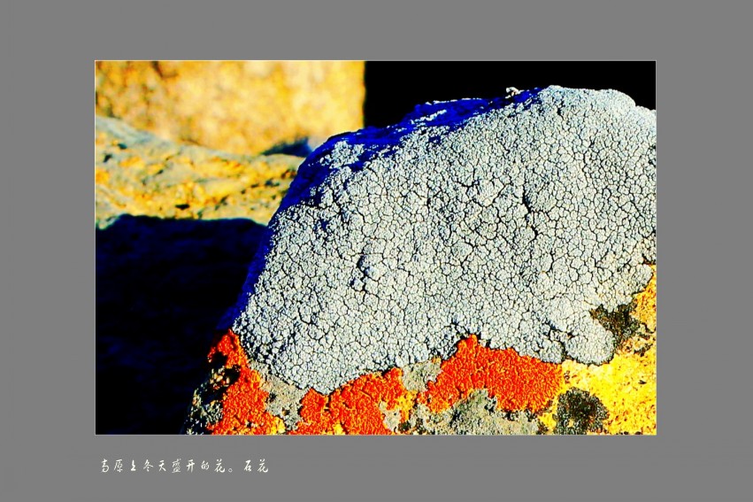 Ƭ 025_conew6.jpg
