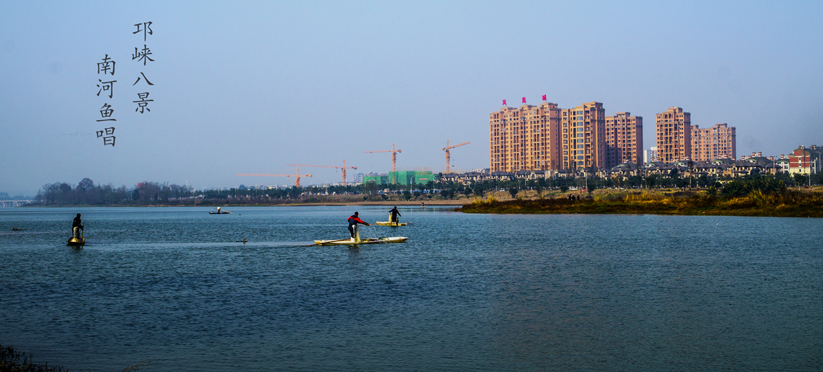 DSC02137__.jpg