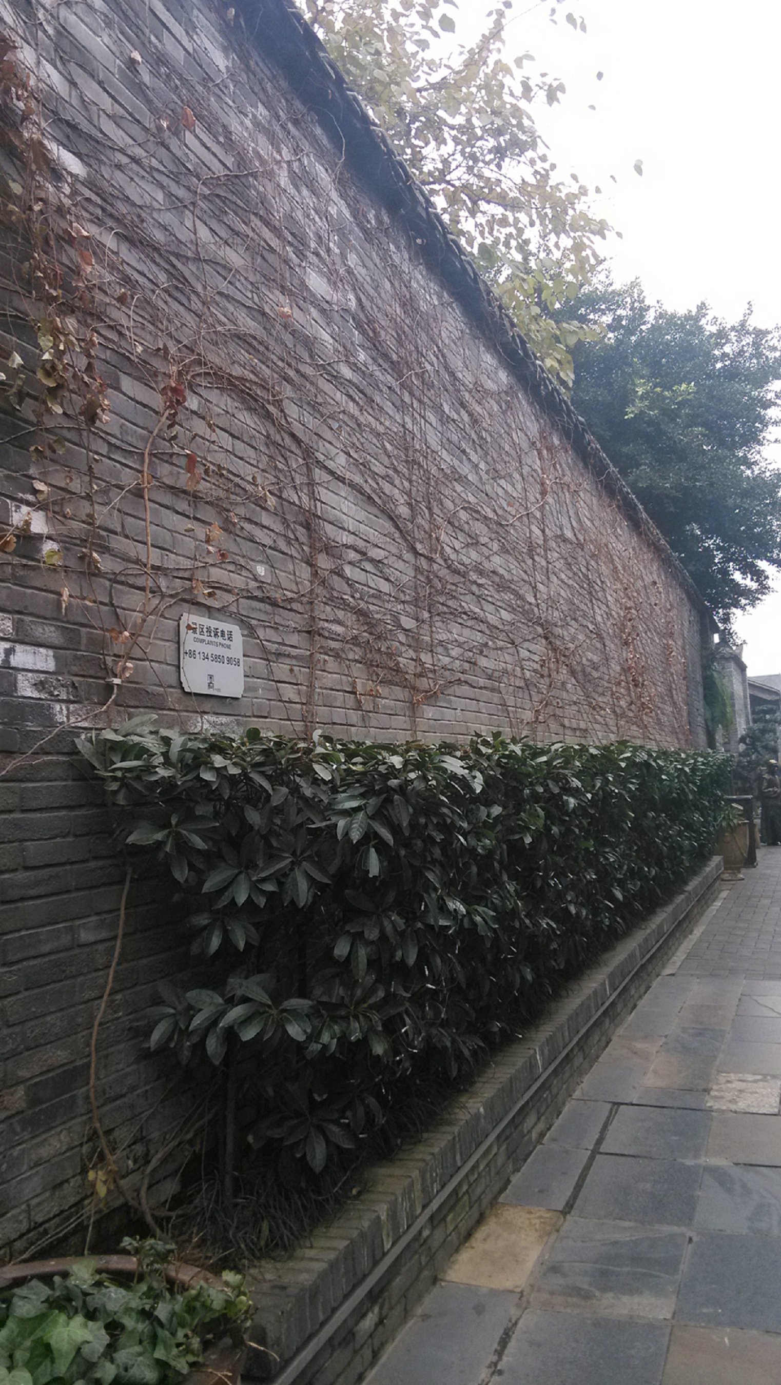 IMG_20131231_122610.jpg