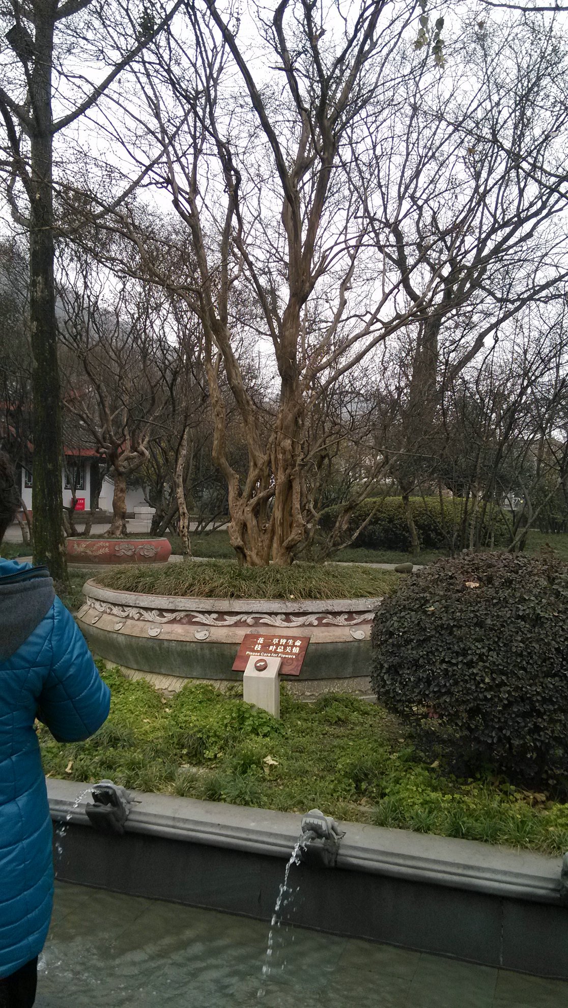 IMG_20140101_103118.jpg