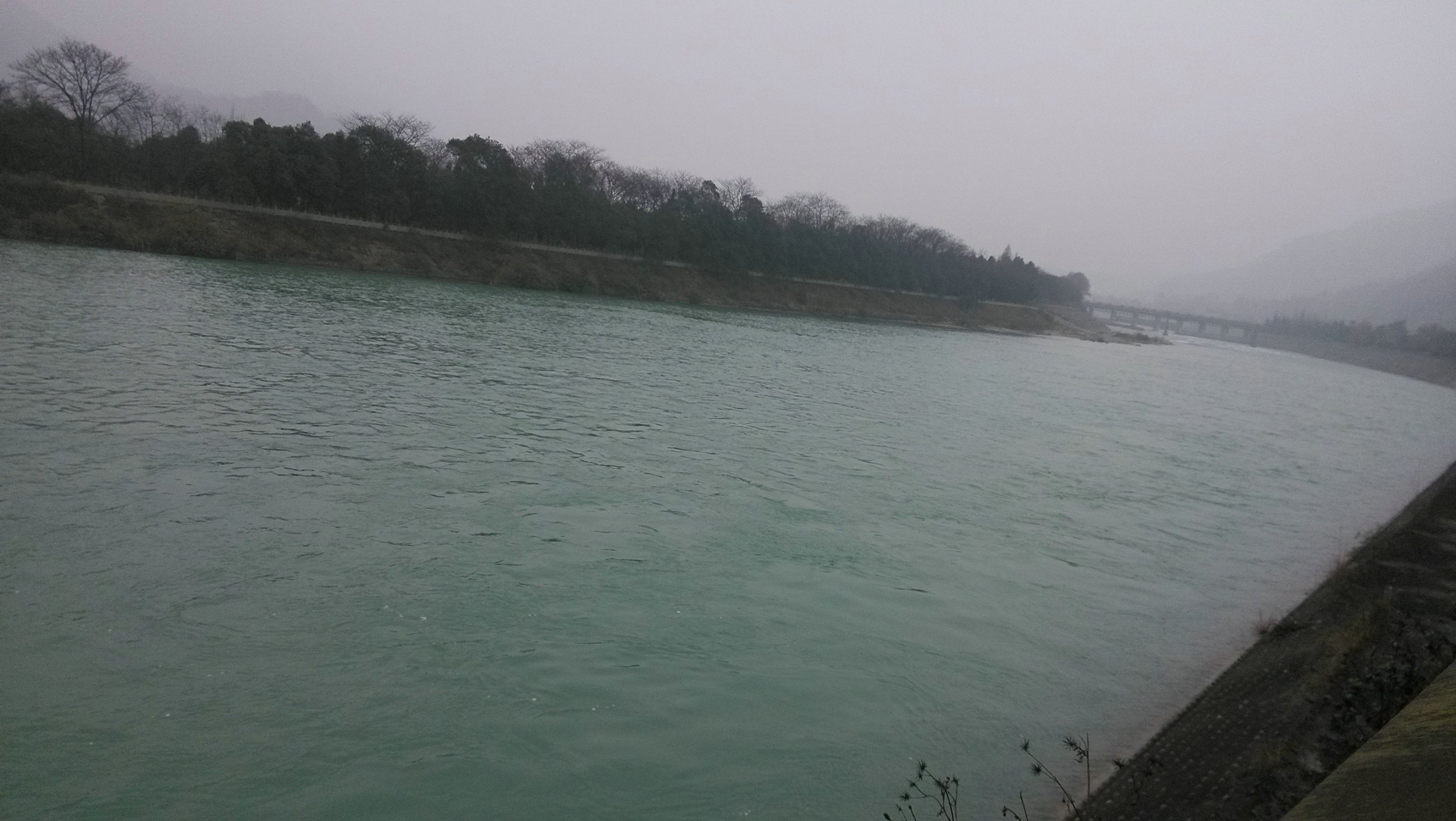 IMG_20140101_110033.jpg