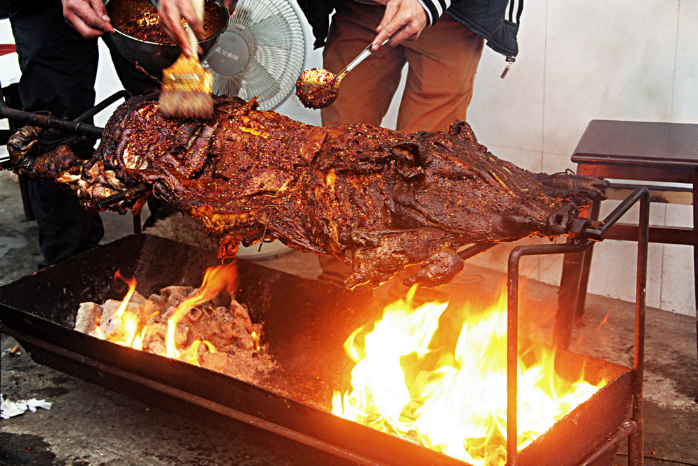 好香的烤野猪儿