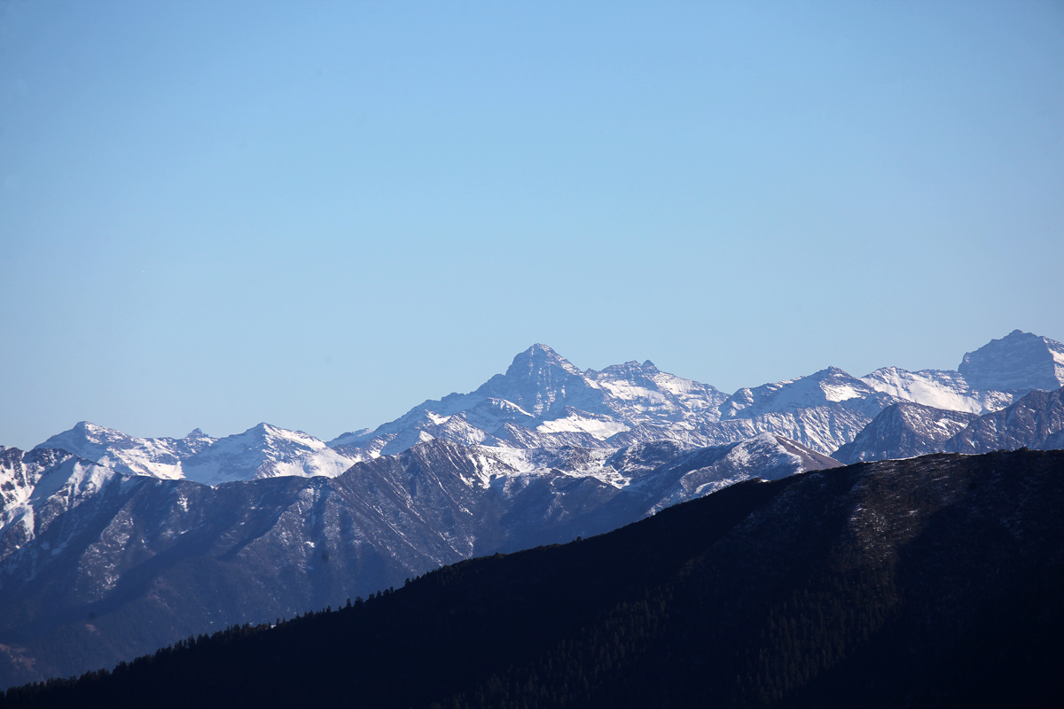 IMG_4816.JPG