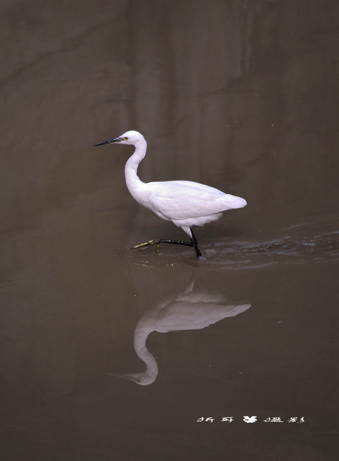 DSC_5214_.jpg