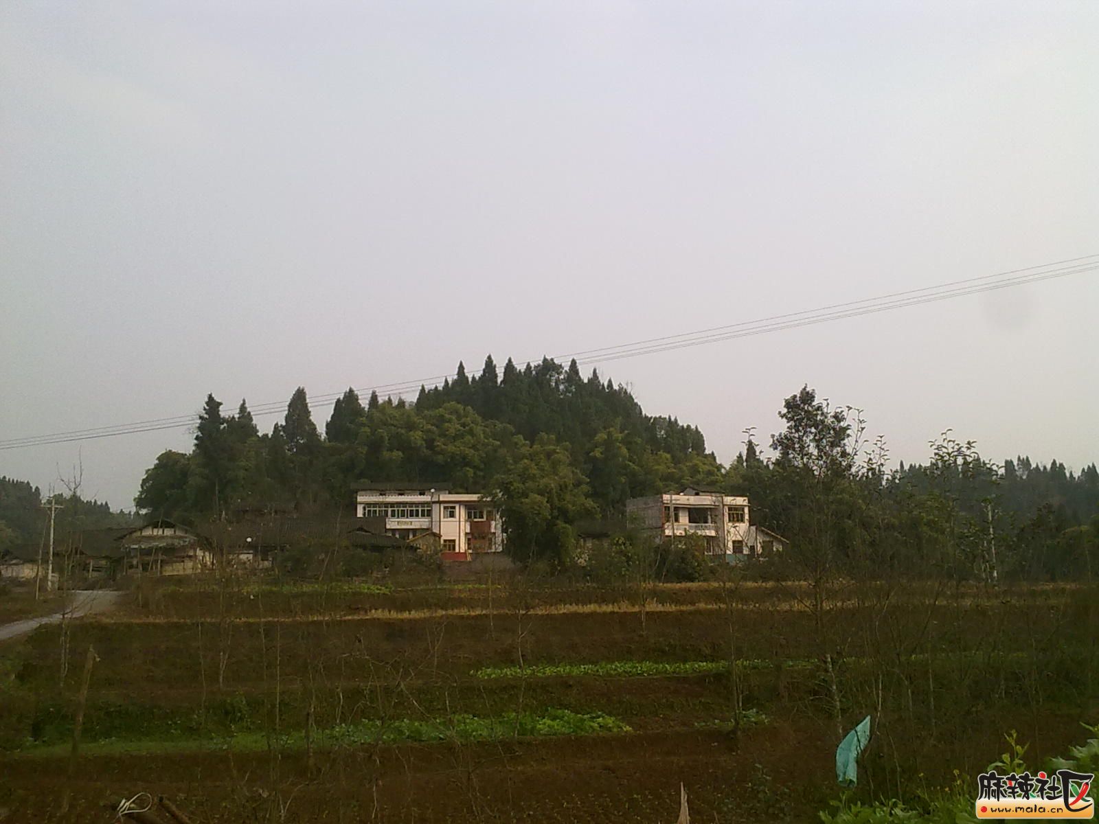 Ƭ 004.jpg