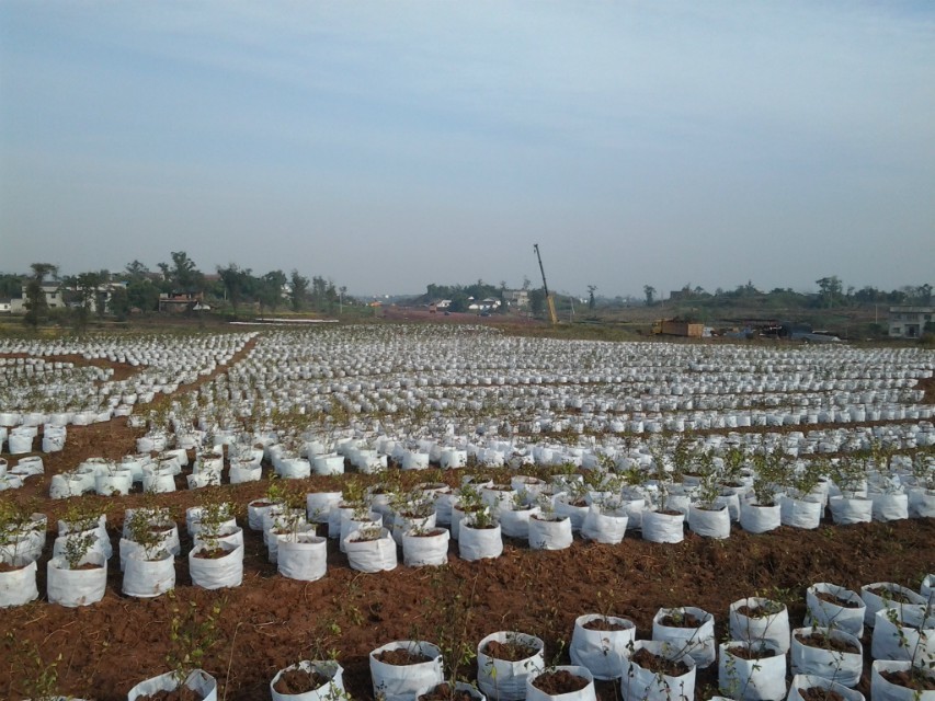 QQͼƬ20131231160354.jpg