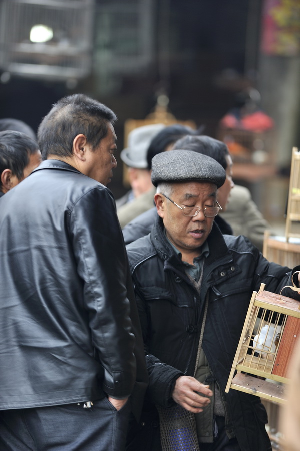 成都黄田坝鸟市图片