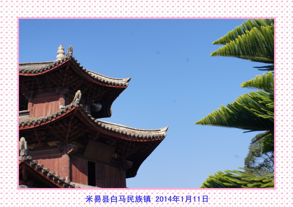 conew_dsc06378.jpg