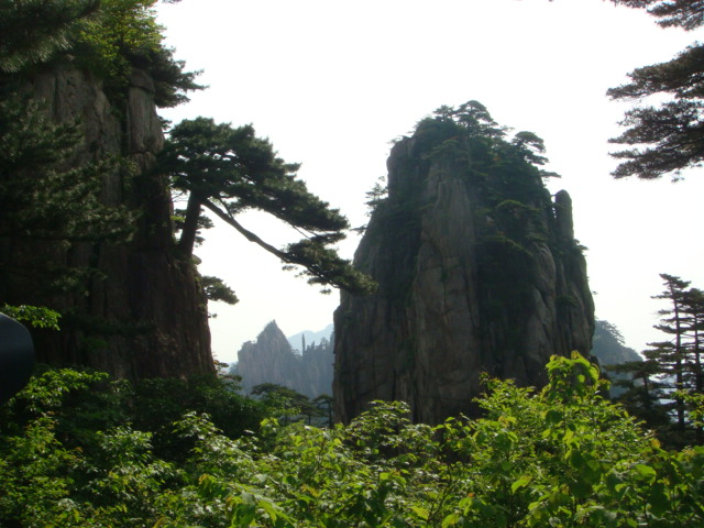 DSC06024.JPG