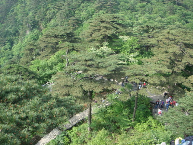 DSC06029.JPG