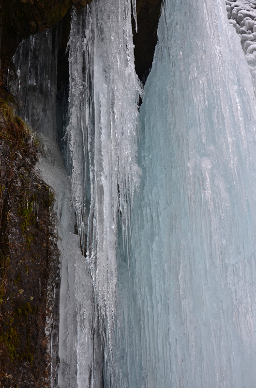 DSC_7426_.jpg